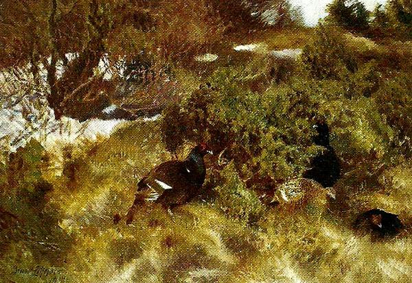 bruno liljefors landskap med orrar, tidig var Germany oil painting art